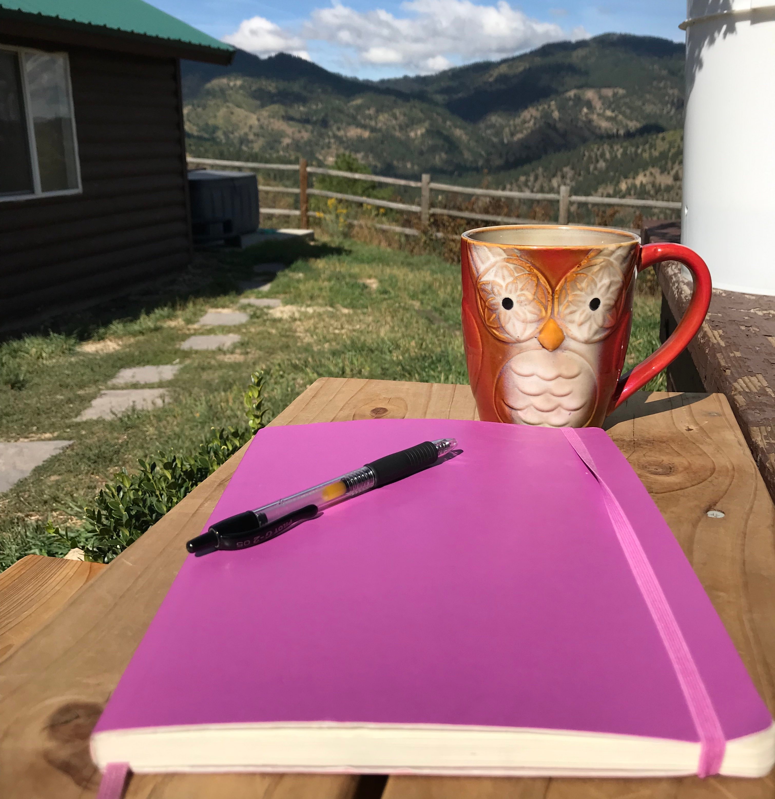 a notebook and owl mug, mountains and cabin in background